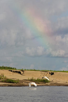 Photo of 4-Day Amazon River Luxury Cruise from Iquitos on the 'Aria' Rainbow over the river - December 2013