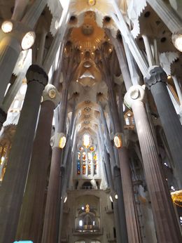 Photo of Inside the Sagrada Familia This isn't only a church but an amazing work of art. So sad Gaudi didn't get to see to its completion. , Luesa E - July 2016