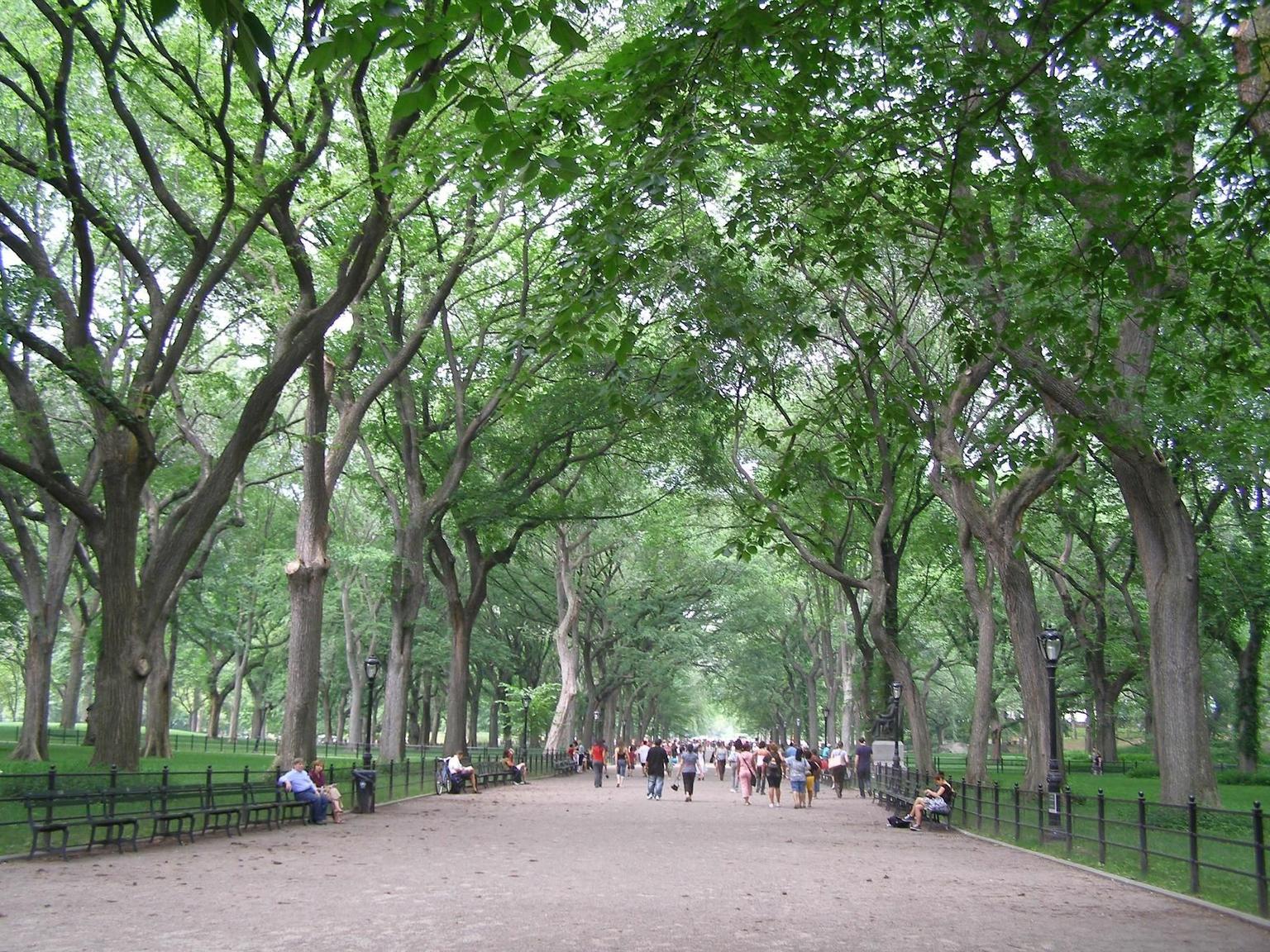 Literary Walk