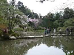 Photo of Imperial Palace Gardens Tourists crossing the pond precariously. The image of the bushes are reflected in the pond., Sue C - April 2008
