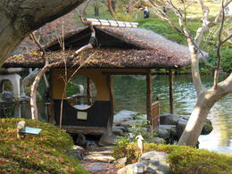 Photo of Japanese Garden for Tea Ceremony Beautiful Gardens surrounding the Tea Ceremony cottage. , Vincent S - December 2012