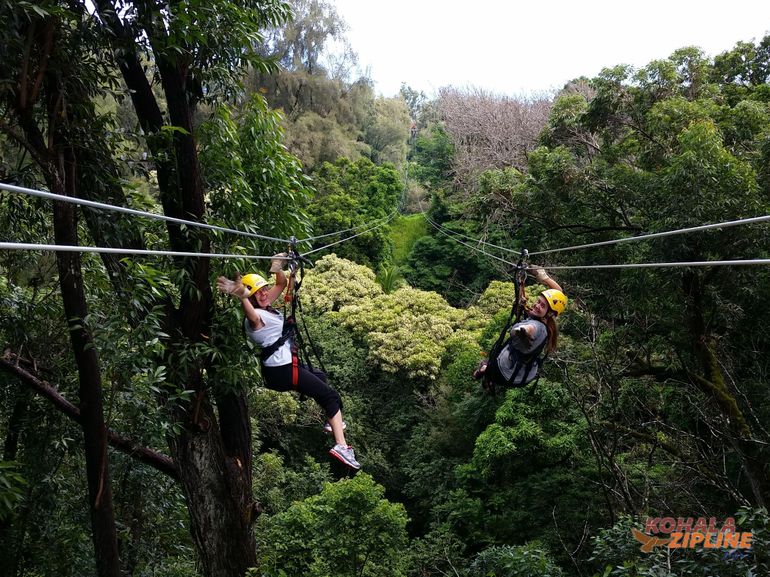 Big Island Kohala Canopy Zipline Adventure 2020 | Cool ...