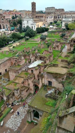 Photo of View of Roman Forum from Palatine Hill What I found most interesting about Rome was how the ancient was interwoven with the modern truly a unique experience. , Jason B - April 2016