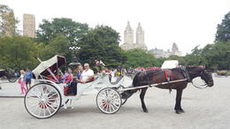 Photo of Beautiful fairy tale ride through Central Park Alexis, Bess, Grammy and Grampa enjoying the ride! , Karen N - September 2016