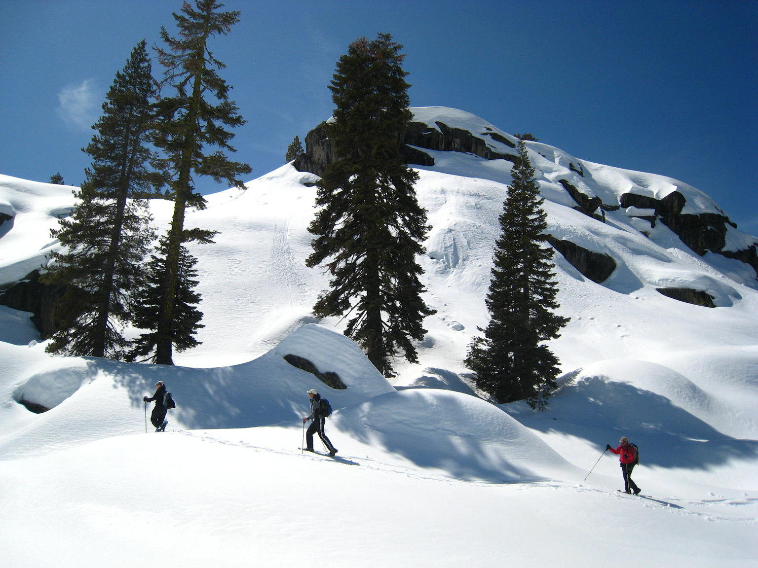 Boreal Ridge Snowshoeing Day trip