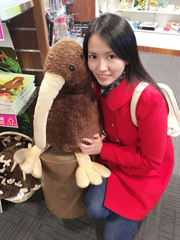Photo of The Kiwibird from the store Huge kiwibird found from the souvenir shop just next to the restaurant! So cute! , Viggy - July 2016