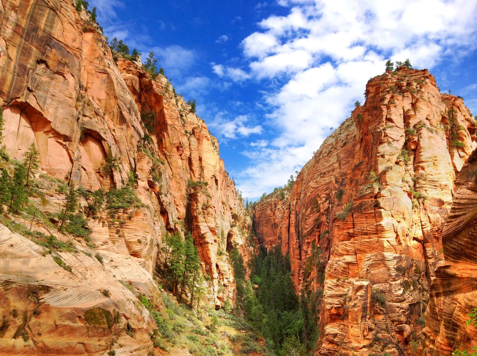 Zion National Park