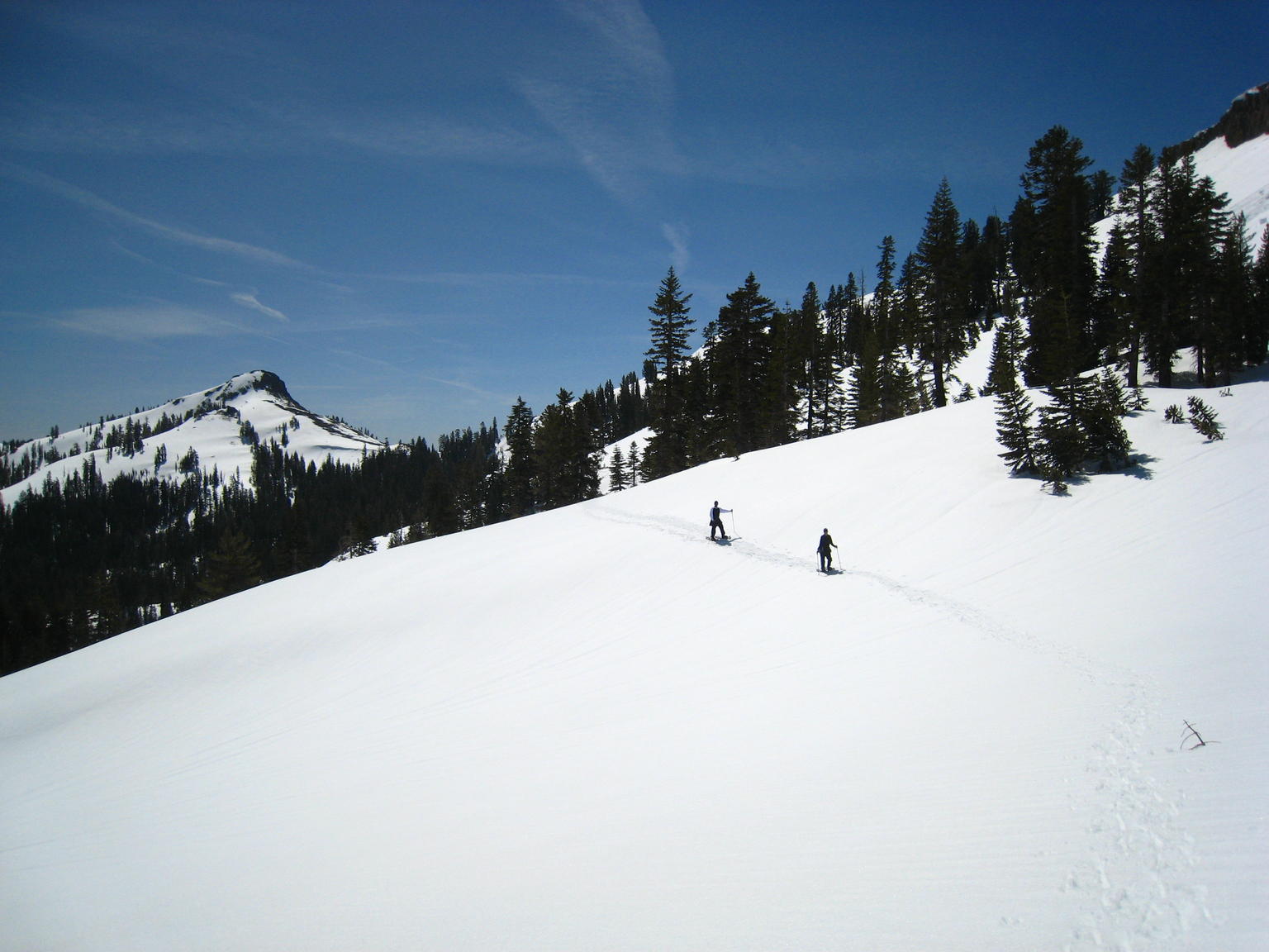 Bradley Hut