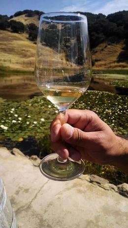 Photo of CHARDONNAY TASTING OUR 1ST TASTING OF THE DAY....THE BEST CHARDONNAY WITH A HINT OF VANILLA AND PEAR.... WE HAD TO BUY A BOTTLE! , Rafael M - June 2014