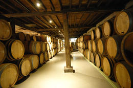 Photo of Musee Bruxellois de la Gueuze Lots of barrels inside the Musee Bruxellois de la Gueuze, Sasha Heseltine - May 2014