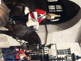 Photo of On Guard Wasn't sure the horse and rider were even alive for a minute ! They were so still ! , Bronwyn T - September 2015