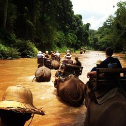 Photo of View from atop our Elephant View from atop our Elephant. Some of the tour is over land, and some in the river as you can see. This is the best part. Relax and take in the wildlife. , coxo01 - June 2012