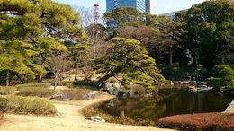 Photo of Famous corner of the Imperial garden A traditional Japanese garden where all elements of nature are designed into the corner, including a small waterfall and pond full of koi , John L - February 2015