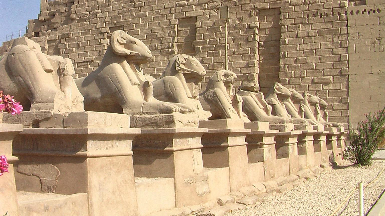 Египет в начале июня. Карнакский храм аллея сфинксов. Аллея сфинксов в Египте. Аллея сфинксов Хатшепсут. Луксор Египет аллея сфинксов.