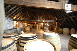 Photo of Musee Bruxellois de la Gueuze At the Musee Bruxellois de la Gueuze, Sasha Heseltine - May 2014