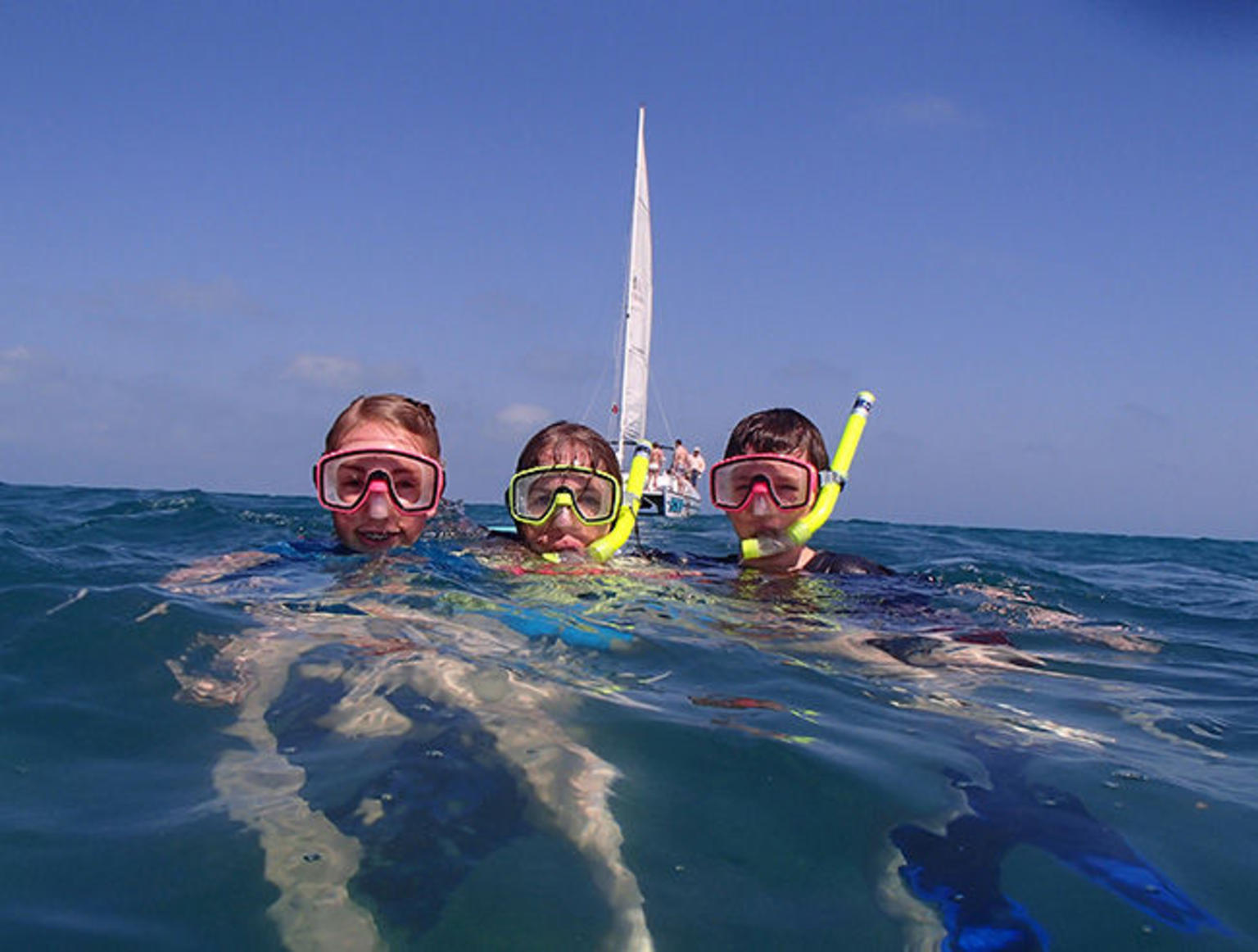 Shipwreck Snorkel and Wild Dolphin Encounter