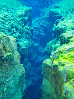 Photo of Amazing view! The view under the water was incredible! Make sure you bring your underwater camera! , kerrymannette - September 2016