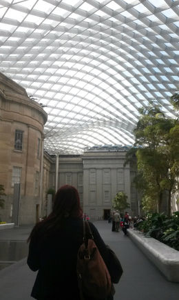 Photo of At the Smithsonian American Art Museum The very cool ceiling structure in the conservatory - December 2014