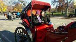 Photo of Central Park Carriage Ride My daughter and I riding thru Central Park. An amazing afternoon...thanks Viator! , Lora M - December 2015