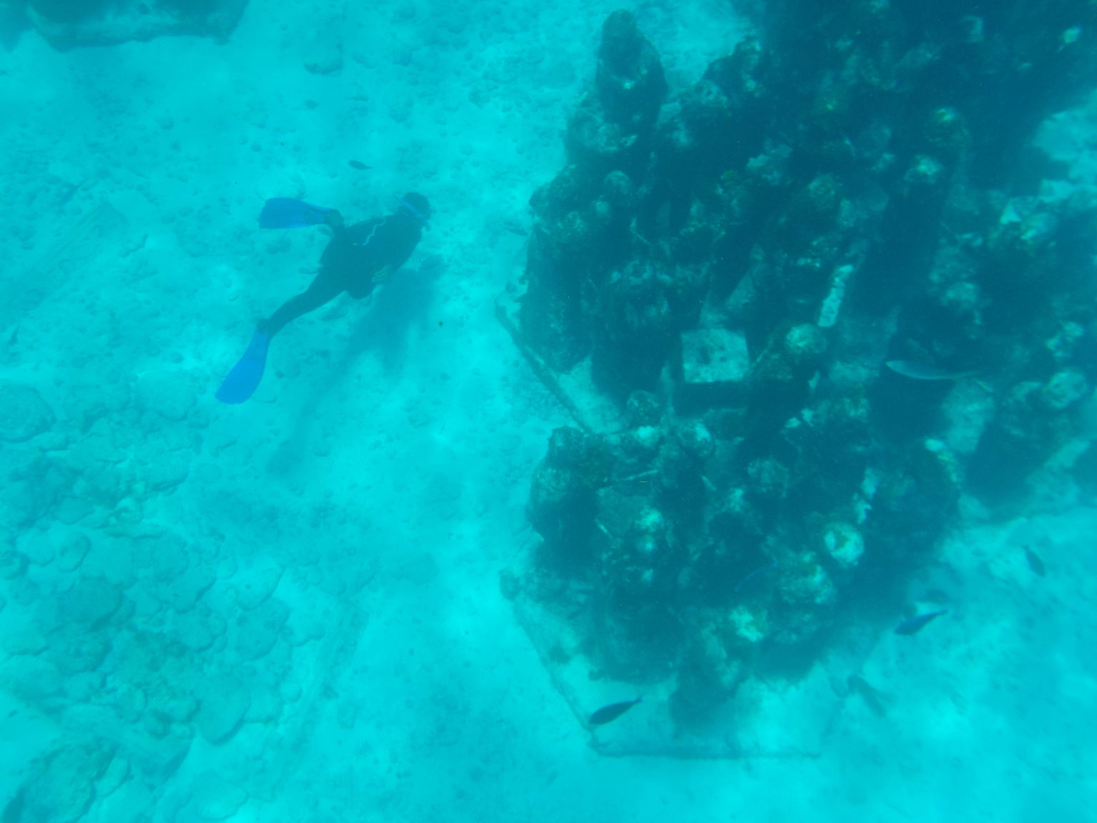 Underwater museum