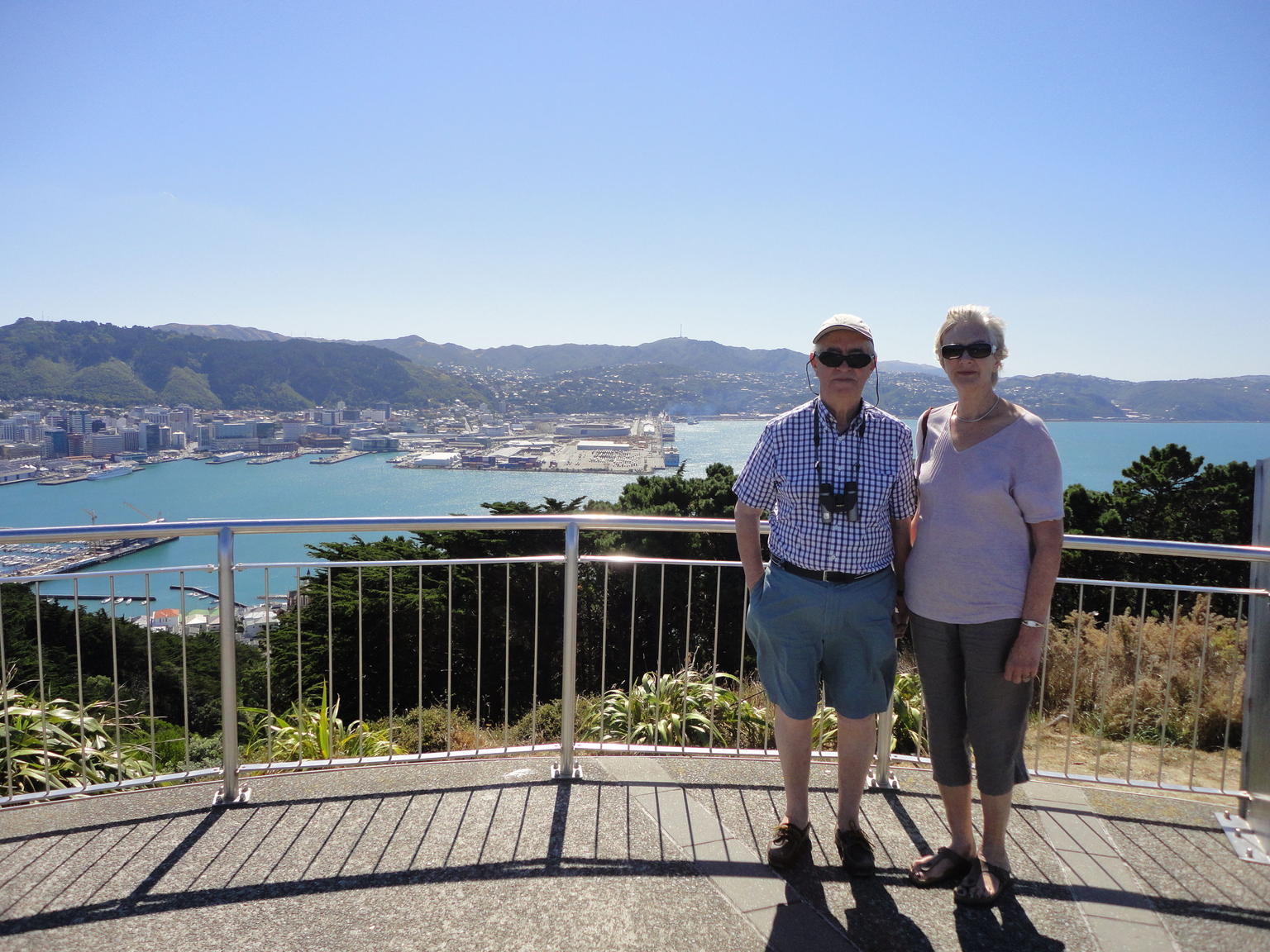 Wellington Lookout