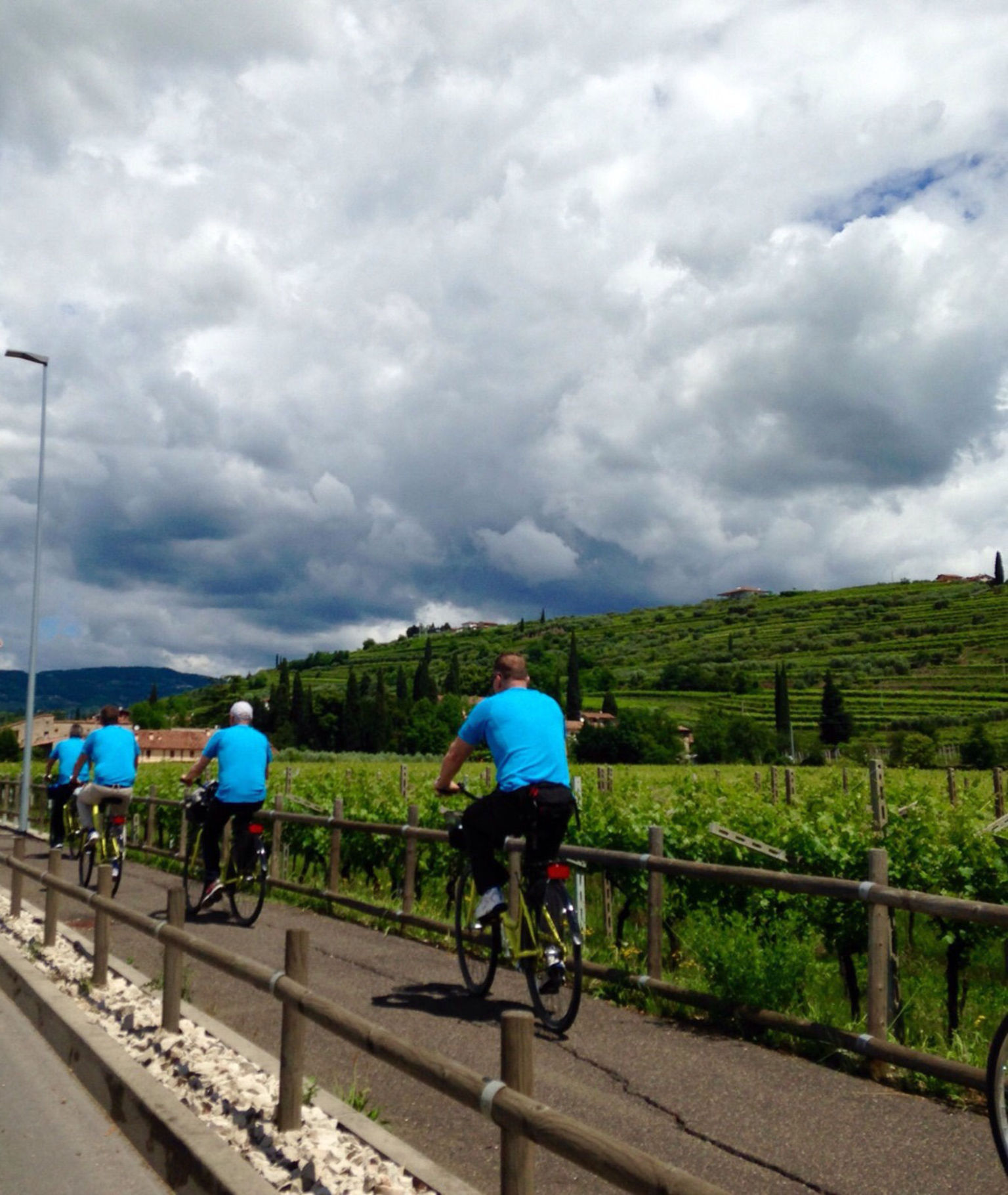 Amarone Bike Tour