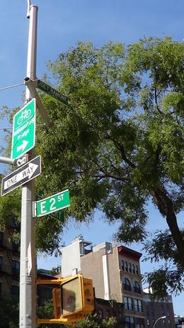 Photo of Joey Ramone Place There is a reason it's up so high.... apparently it's the most stolen street sign in NY! Unfortunately it's pointing down the wrong street!! , simon w - September 2012