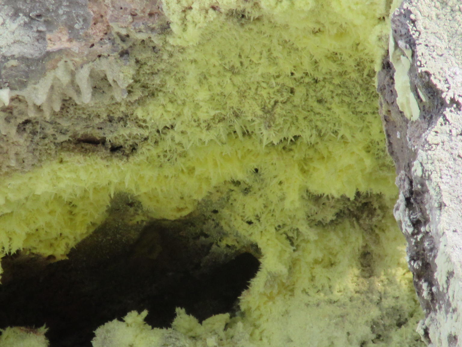 Sulphur deposits at a steam vent