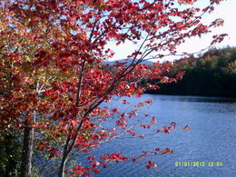 Photo of Spectacular color at Dublin Lake New Hampshire Early settlers no doubt stood on these shores in awe and amazement. The tour guide said he just recently added this stop and it was the most gorgeous place. You wanted to build a little cabin ... , Karen D - October 2015