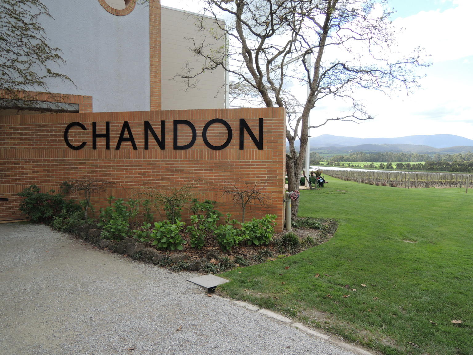 Chandon Vineyard