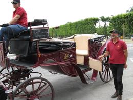 Photo of Horse and Carriage The carriage staff were nice, and the horse was lovely (and Canadian!). Not sure in retrospect if it was worth as much as we paid for it but it was a neat experience. - July 2008