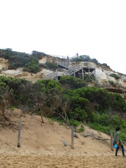 Photo of Steps up and down to beach are not overly stressful The bus stops for about 45 minutes and we get tons of time for a walk around the top tier of cliffs and also down to beautiful beach where one can paddle if wish. , Lorraine W - April 2014