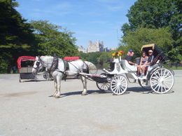 Photo of Carriage in Central Park Finally got my family to do a carriage ride with me as normally all the answer I get is We have enough horses at home and to their surprise they enjoyed it. , kim t - September 2015