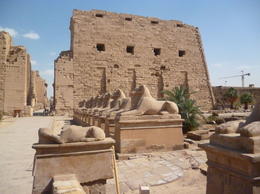 Photo of the entrance of the temple the entrance of the temple is lined with rams on either side. supposedly this ram road connected Karnak temple to Luxor temple 3 km away. , Fatma A - March 2014