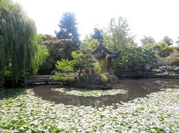 Photo of Dr. Sun Yat Sen Classical Chinese Garden Chinatown beauty and worth the visit and not very time consuming. , David Z - July 2016