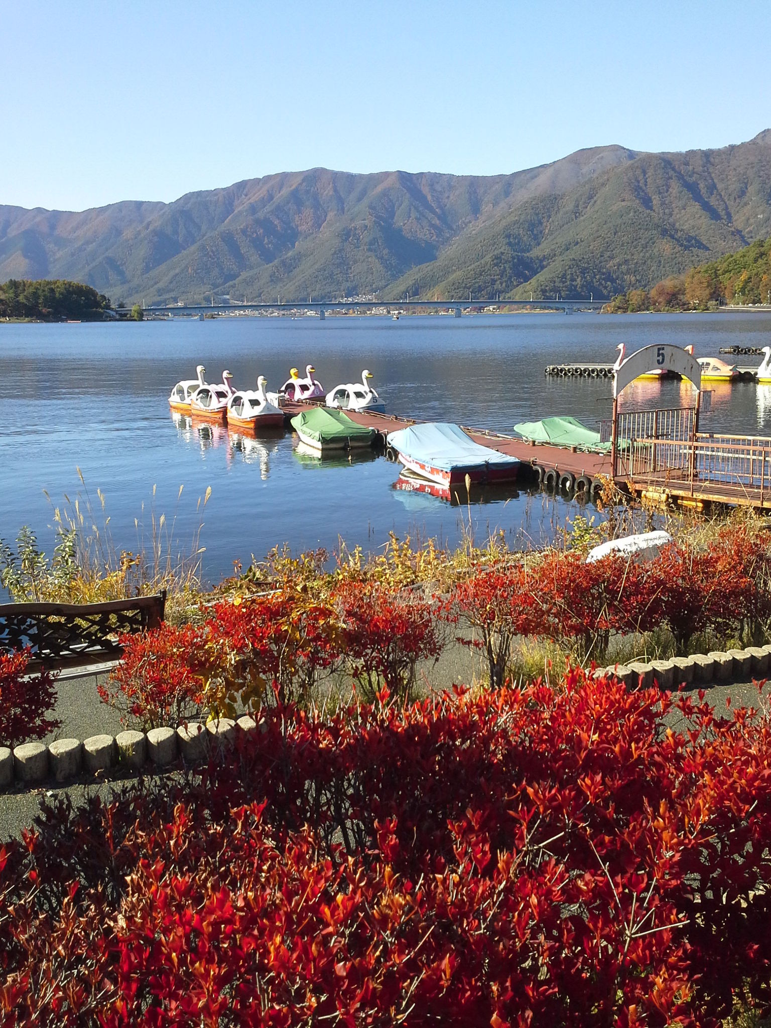 Autum in Japan near Hakone