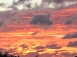 Photo of Bermuda Sunset Cocktail Cruise We were on the Bermuda Sunset Cocktail Cruise and witnessed one of the most spectacular sunsets I have ever viewed. , Gregory M - July 2016