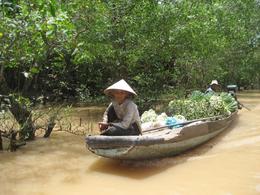 Photo of Cruising the Mekong A local woman with her daily delivery of goods from the floating markets, Mekong River Delta - November 2011