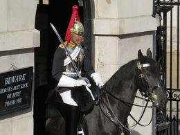 Photo of Horse Guards All buses went directly past places of interest, and buses with guides were well-marked. The young man who was our guide was well-informed and entertaining. , Elena W - October 2015