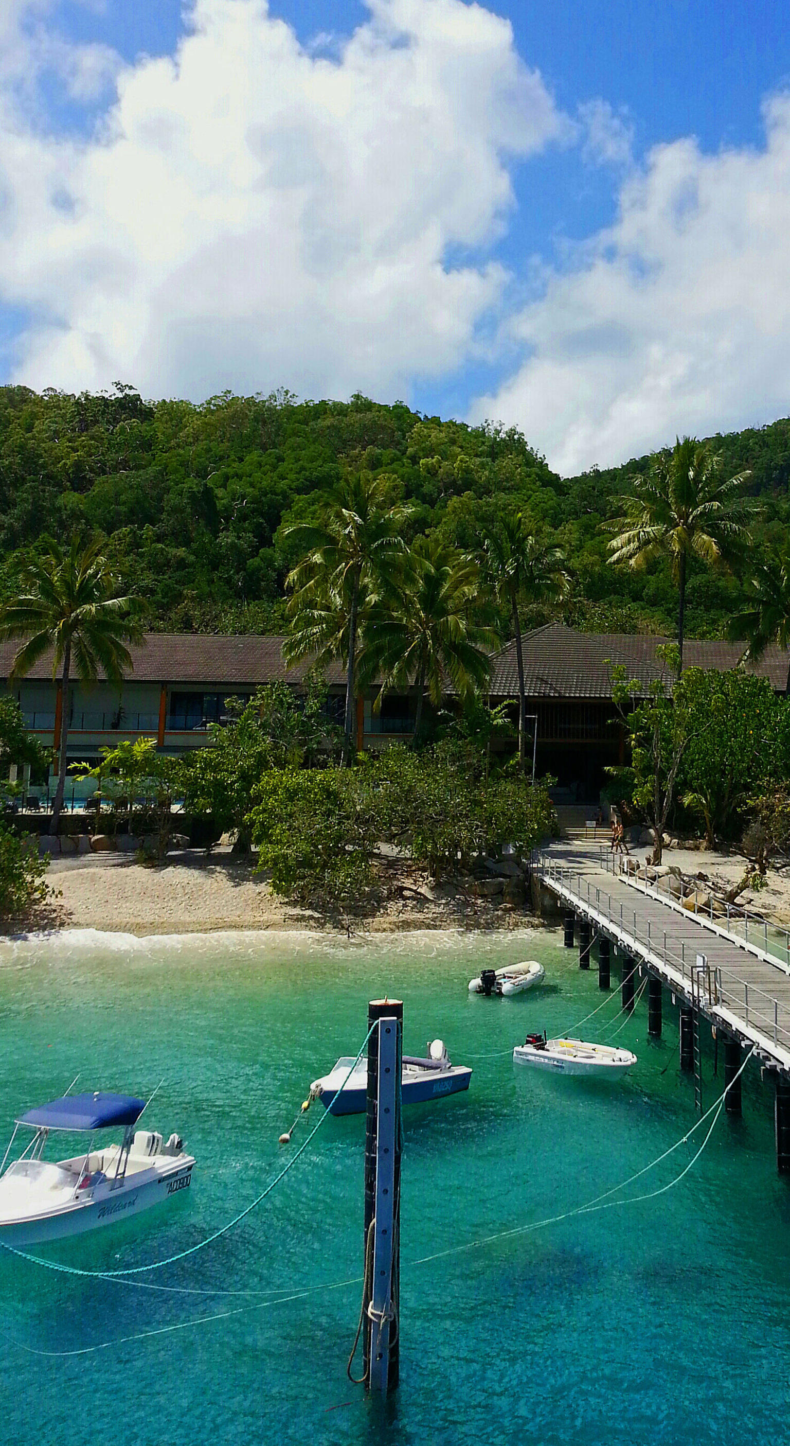 Pulling into Fitzroy Island