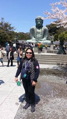 Photo of Kotokuin Buddha in Kamakura This is the famous giant buddha in Kamakura made more beautiful by the cherry blossoms in bloom.. , Catherine C - April 2014