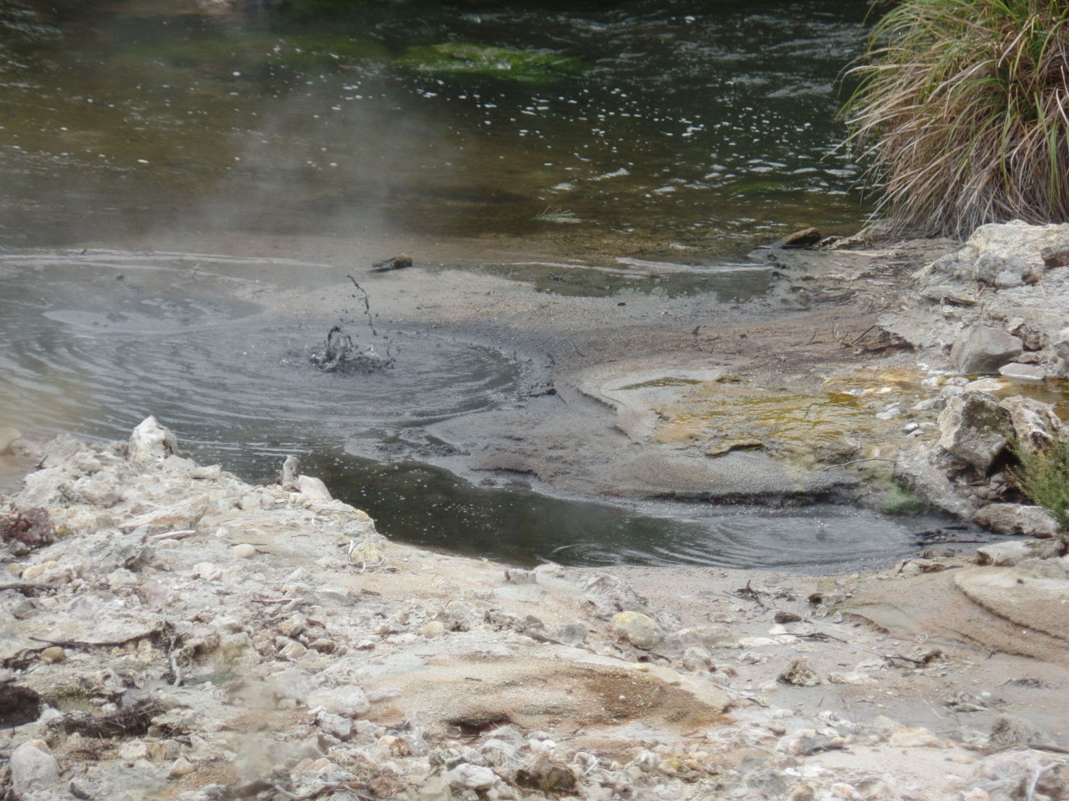 Mud pools at Te Puia