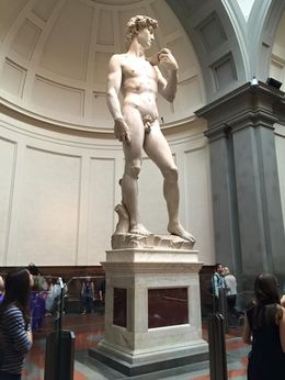 Photo of Accademia - The David You can view the pictures from everyone...but seeing it up close is amazing , cwgiggles1101 - October 2015