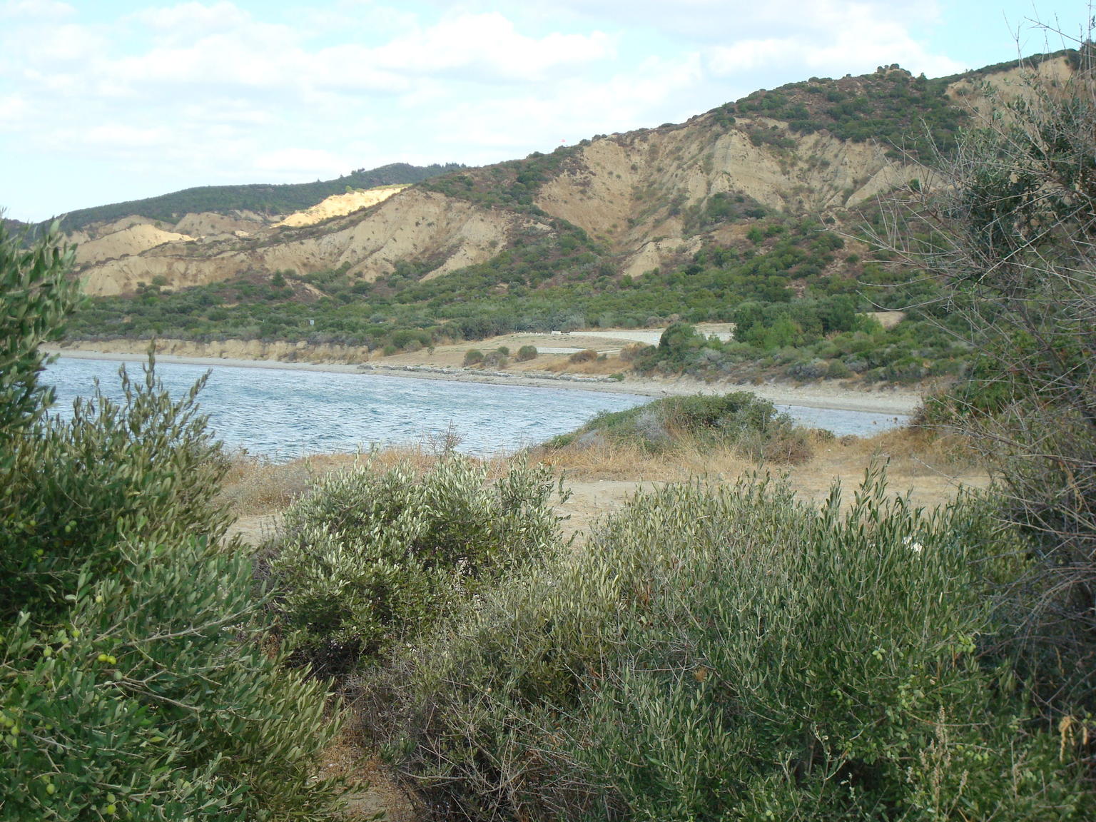 At Anzac cove