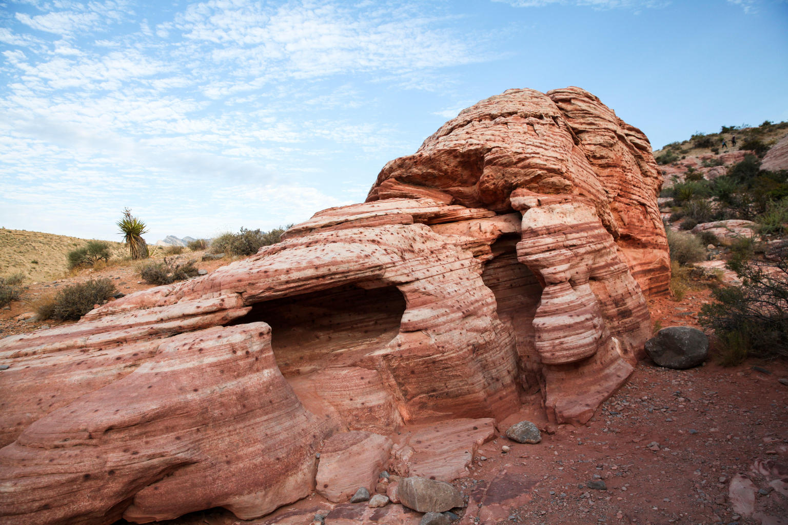 Red Rock Canyon Hiking Tour