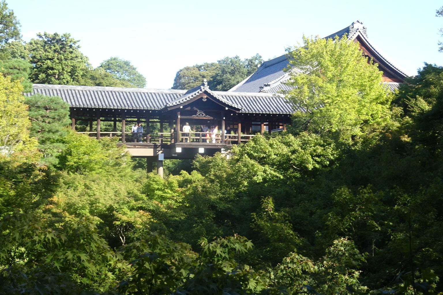 Half Day Small-Group Kyoto Cultural Tour