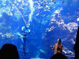 Photo of Talk under water They have an information/discussion event where you see the fish and a person giving a talk about the fish. There were lots of people though. , Reuben L - January 2013