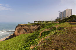 Photo of Lima City Tour - Miraflores over looking the ocean. Tell us who's in the photo, what you were doing etc. , Chefman - June 2015