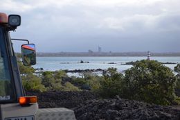 Photo of Views from the Tram are Wonderful I was with a great mixture of both New Zealanders and tourists with a driver who answered every question before it was asked. , Robert K - May 2016