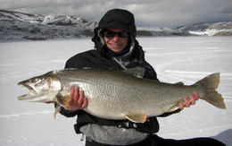 Photo of Blue Mesa Trophy Lake Trout! Blue Mesa has some monsters lurking under the ice! , Icefishcolorado - November 2012